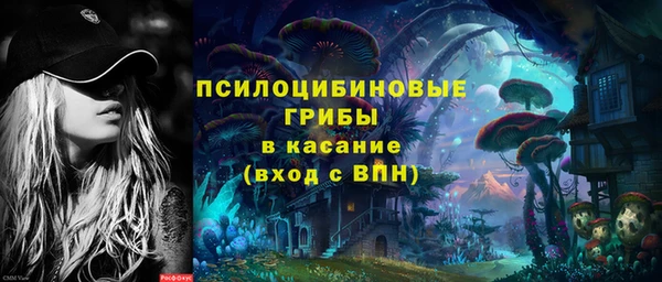 эйфоретик Алзамай